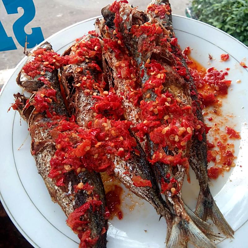 Ikan kembung